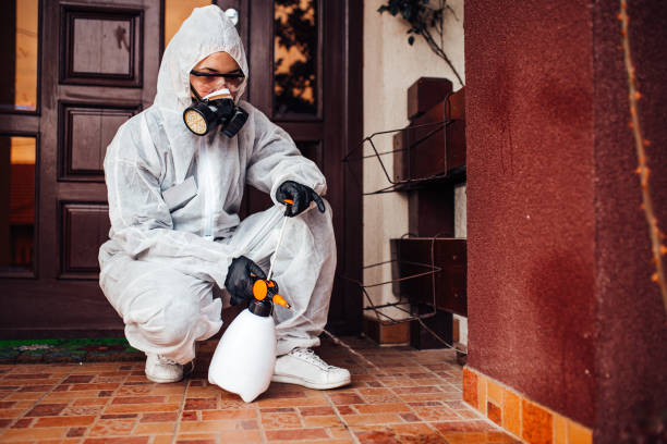 Attic and Crawl Space Rodent Treatment in Mount Pleasant